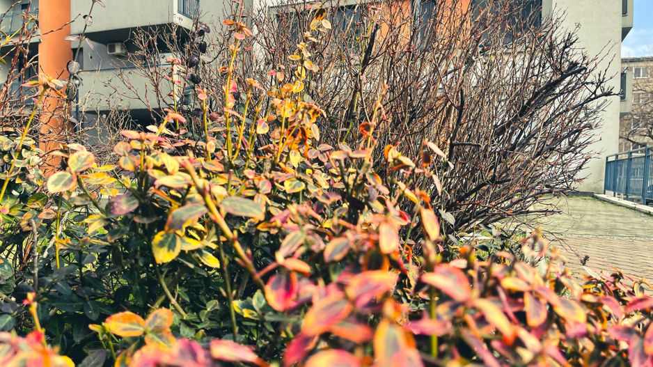 REZERVAT - IRIS Sagului | 41.7 mp - decomandat | Loc parcare privat | Comision 0 - Poză 36