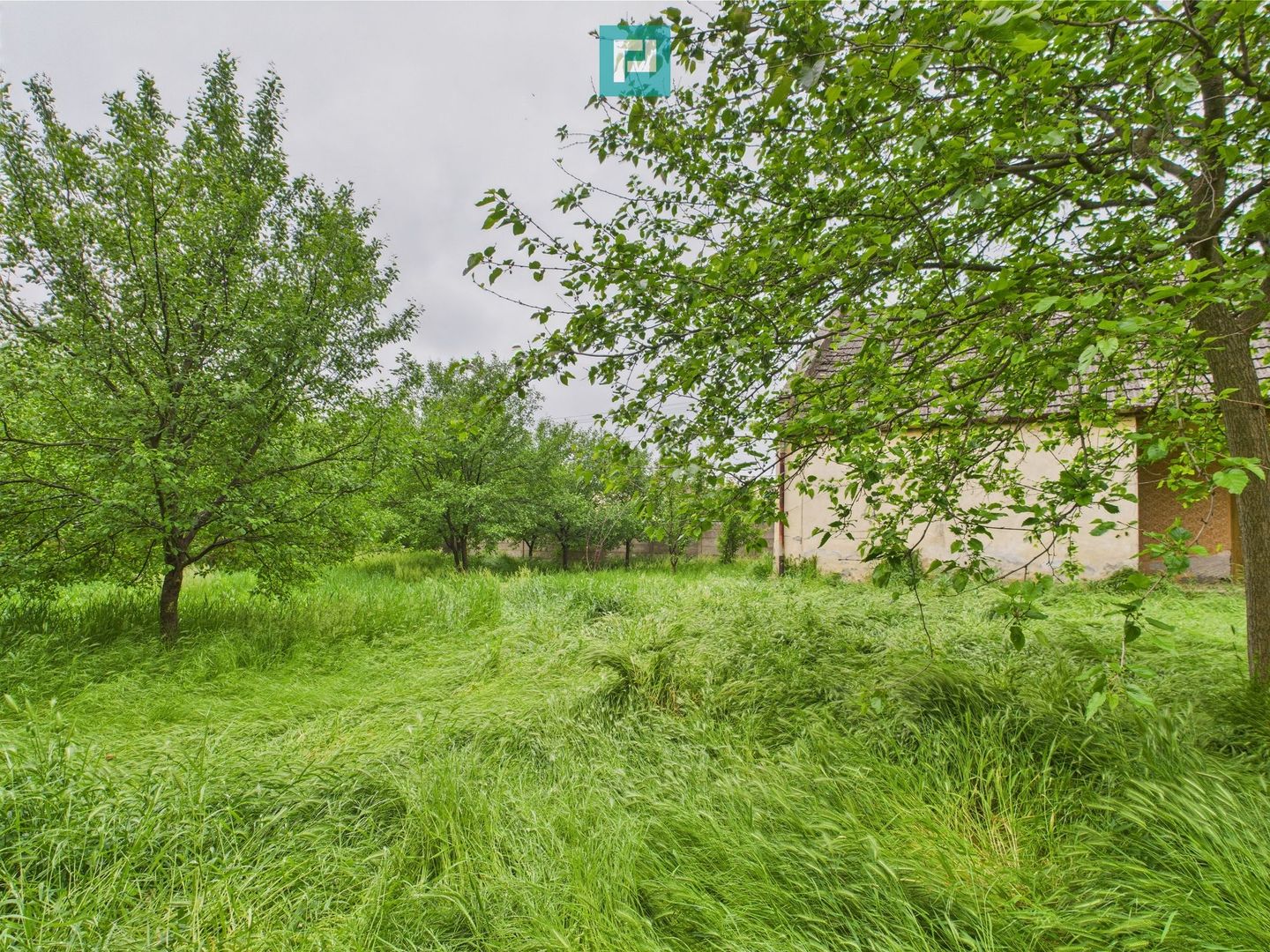 Casă de reabilitat pe teren generos- Comuna Variaș - Poză 13