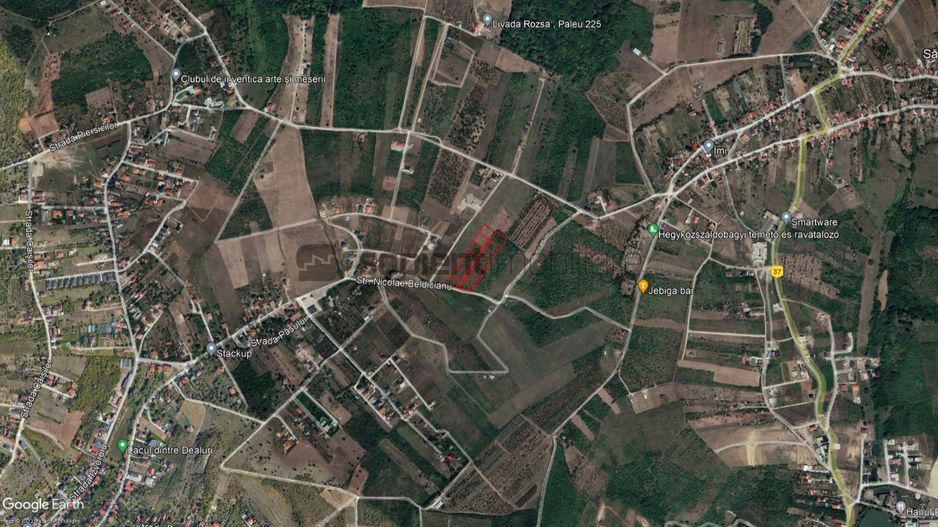 Teren Paleu - Poză 3