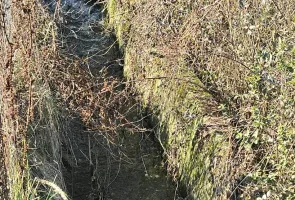 Proprietate de excepție în Lelești – la doar 8 km de Târgu Jiu - Poză 42