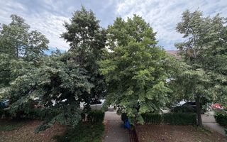 VANZARE  2 CAMERE | OTOPENI | DECOMANDAT - Poză 15