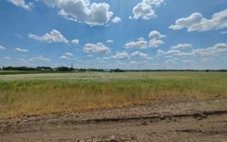 Frumusani Postavari 30 minute de Aparatorii Patriei super oferta 7 eur - Poză 3