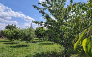 Casa Ciocanesti Cretu - 2 camere cu teren 2539 mp  - Jud. Dambovita - Poză 31