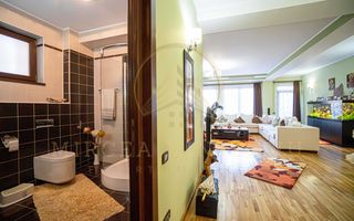 DACIA - Vila D+P+1E+M, teren 780 mp, deschidere 24 ml. - Poză 8