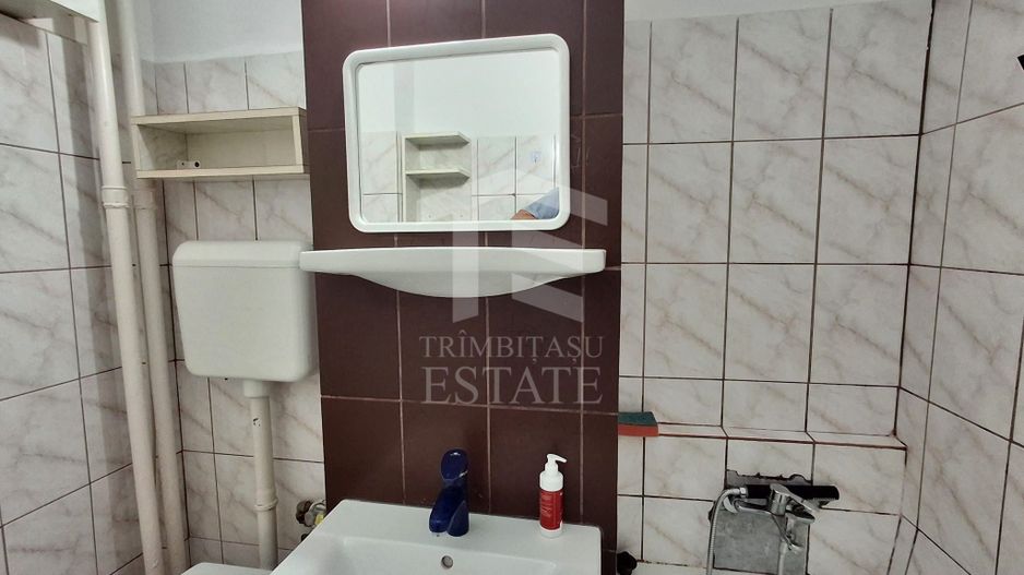 Garsonieră spațioasă de vânzare | Teiul Doamnei | Sos Colentina | Tei - Poză 17