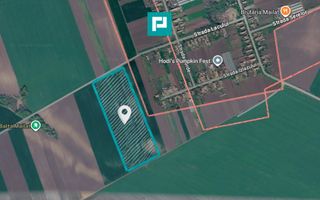 Teren de 8600 Mp2, agricol extravilan, Mailat - Poză 1