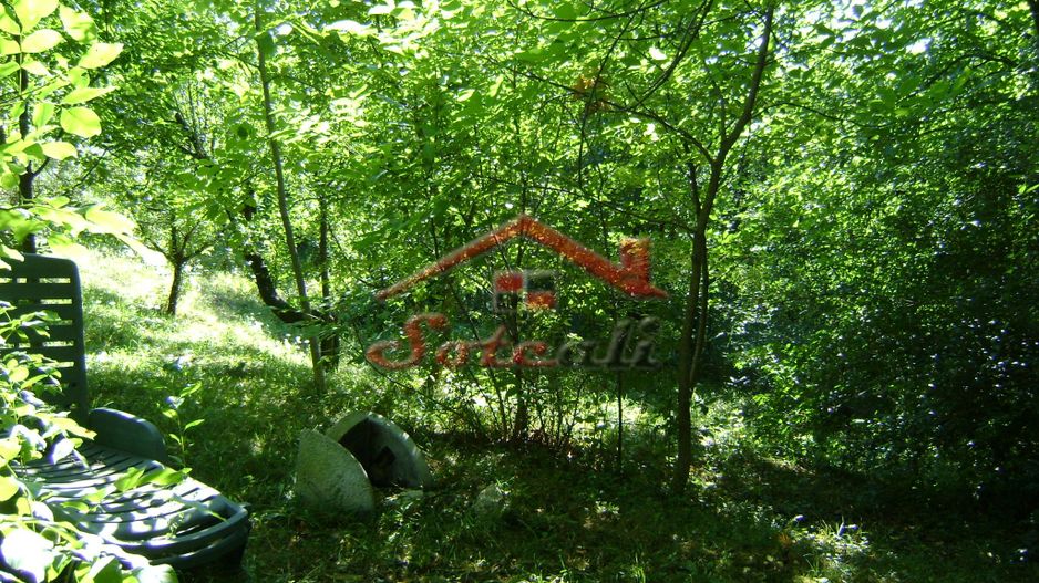 Teren de vânzare în Breaza– zonă liniștită, ideal pentru relaxare - Poză 14