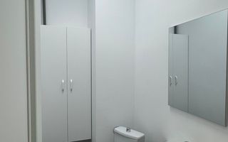 Spatiu la bulevard Nicolina - Rond vechi - Poză 8