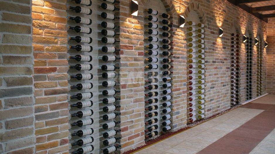 Complex Vitivinicol de Referință în Sudul Moldovei | 206 ha teren agricol | Investiție strategică - Poză 19