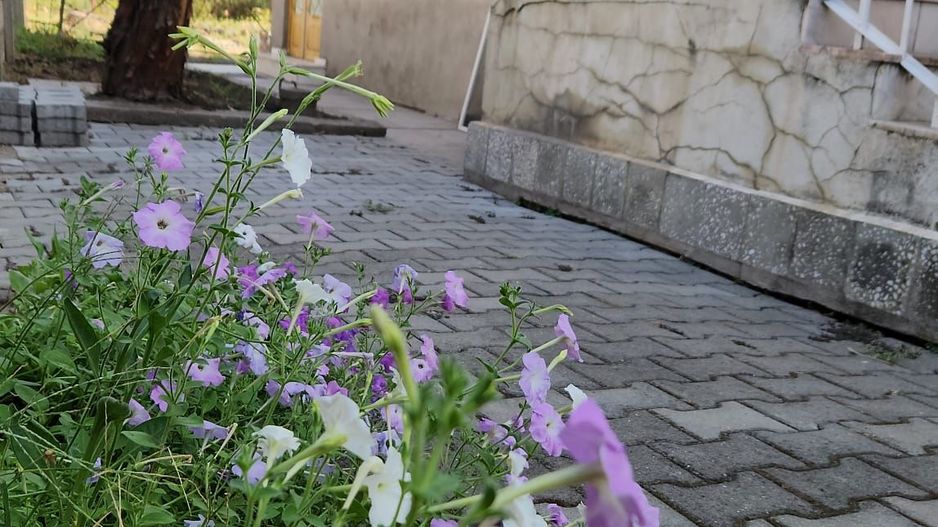 Casa zona Bogdanestilor Pozitie Unica Teren generos Comision 0 - Poză 15