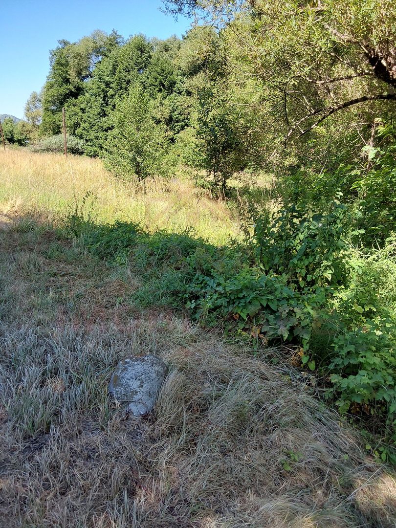 TEREN INTRAVILAN ÎN MARGA-LA DN68 JUD.CARAȘ-SEVERIN - Poză 5