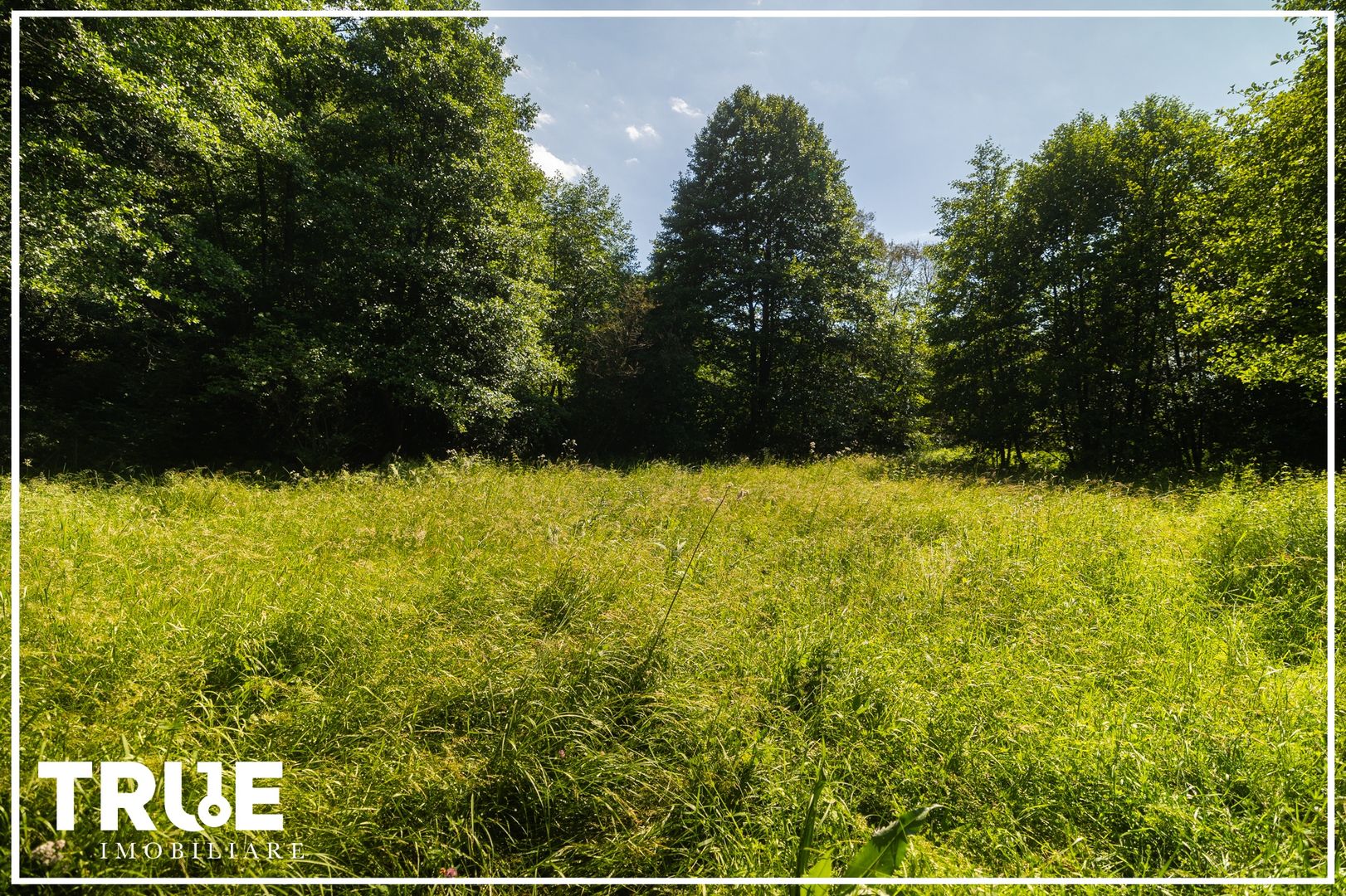 Teren intravilan 2.800 m² în Câmpu Cetății – liniște și natură - Poză 6