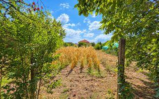 Casă de Vanzare, Str.Bradului,Nr.68,Satu Mare - Poză 5