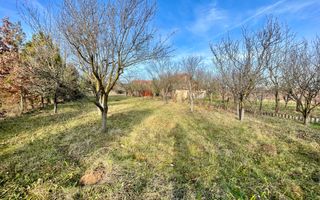 Teren intravilan 1.915 mp + cabană din lemn | Tocile – Sadu - Poză 2