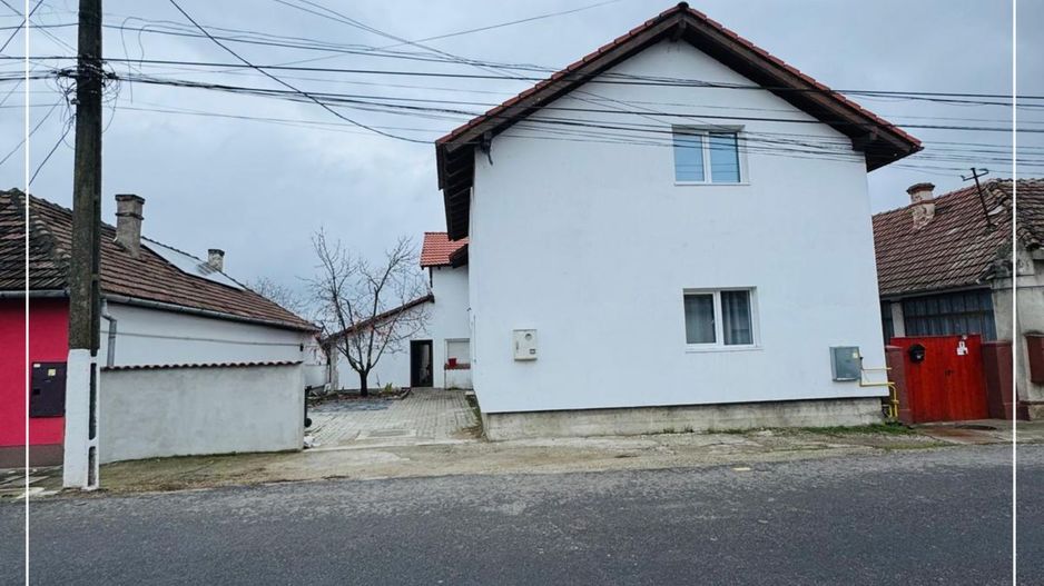 Vladimirescu Casă de vânzare cazare venituri lunare constant risc mic - Poză 1