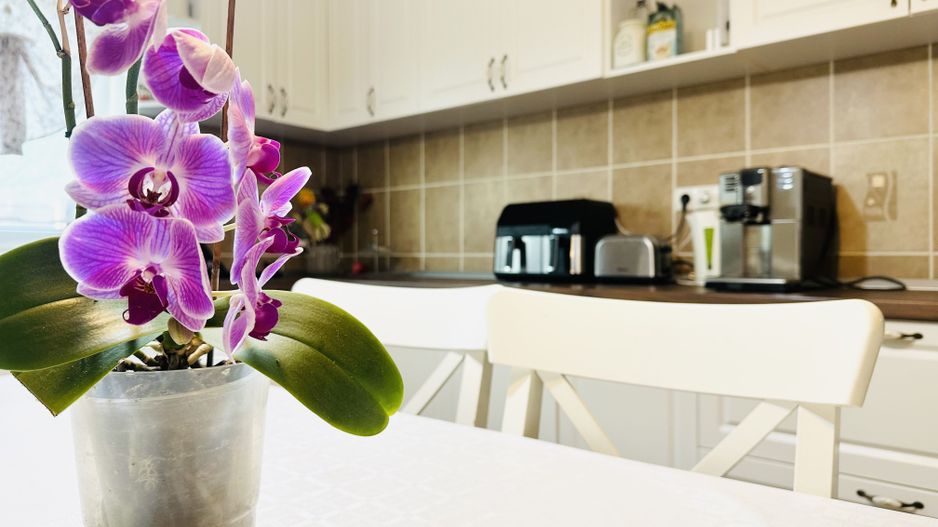 Vila individuala Sacalaz | 5 camere 191 mp, teren 503 mp | Comision 0% - Poză 6