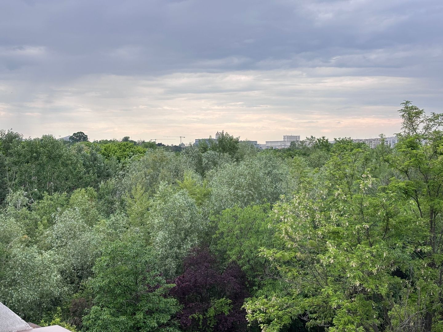 Apartament Luminos 2 camere. Vedere Parc Tineretului, Zona Pridvor. - Poză 6