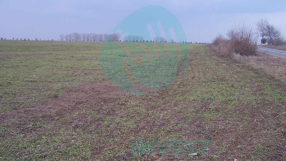 Teren constructii intravilan de 1000 mp, Venus - Poză 1