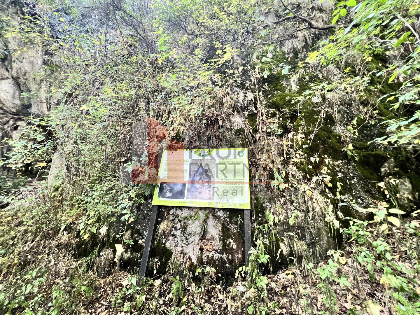 Teren de vânzare langa  Peștera Liliecilor  in Sat Pestera - Poză 8