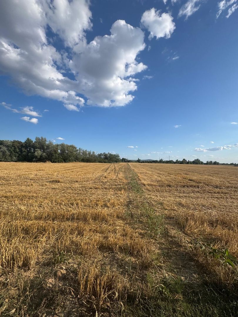 Parcele Teren intravilan Fughiu - Poză 5
