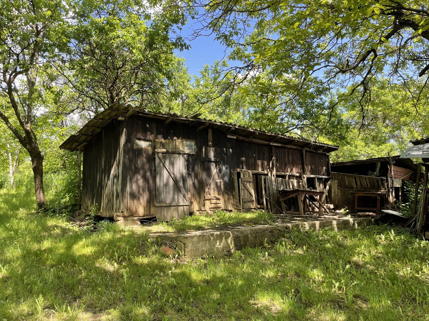 Casa in Comuna Geaca - Poză 20