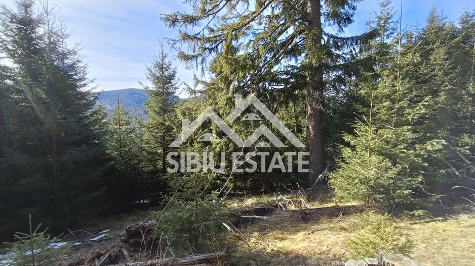 Teren de vânzare în zona montană a județului Alba - Poză 5