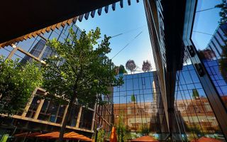 Apartament 1 camera+parcare Palas Campus- Mitropolie - Poză 26