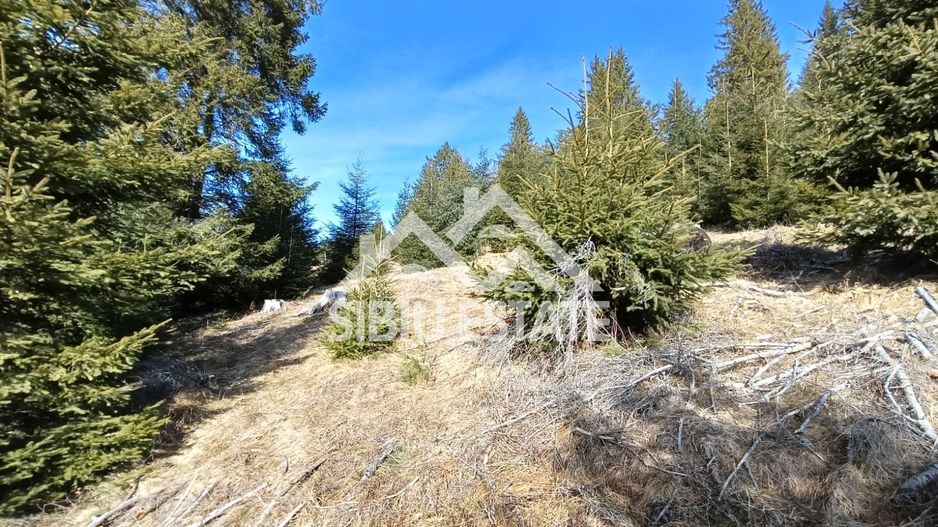 Teren de vânzare în zona montană a județului Alba - Poză 1