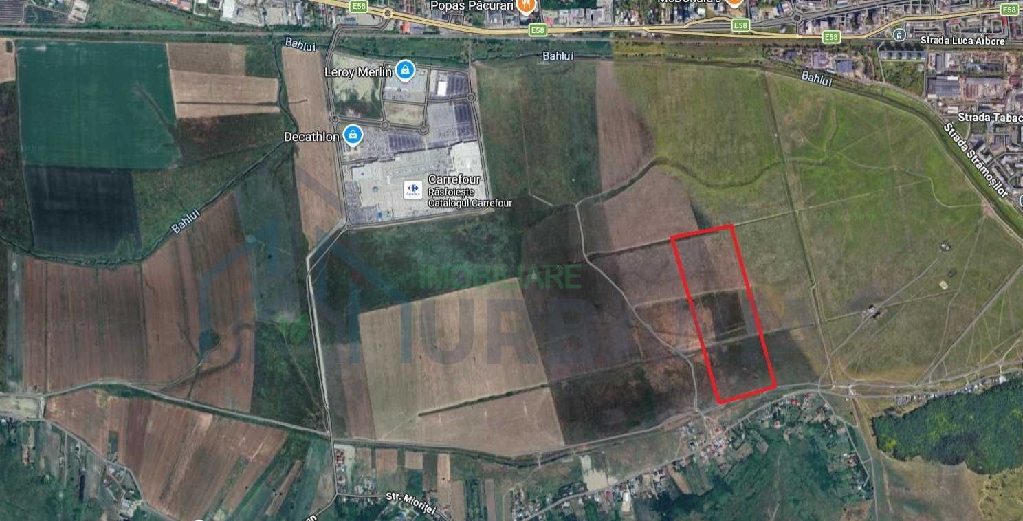 Teren de vânzare – Șes Bahlui, Iași | Ideal investiție - Poză 1