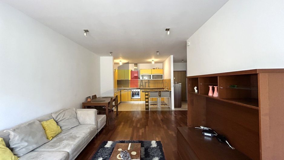 Apartament 2 camere, bloc 2009 | zona Mosilor - Poză 5