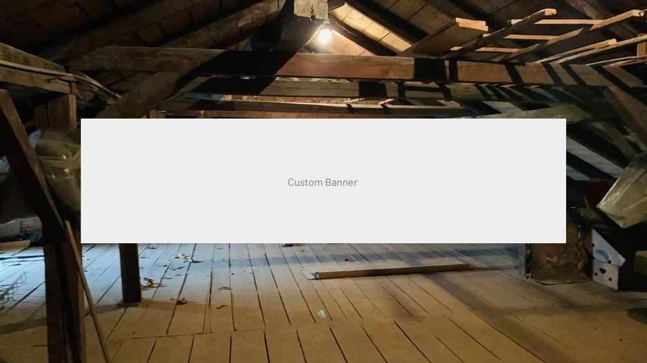 Casa cu spatiu comercial zona Odobescu - Poză 13