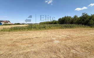 Teren intravilan 1114 mp Sanmartin - Poză 6