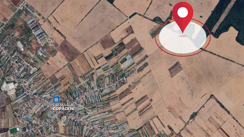 Teren intravilan 38.876 mp, Deschidere 72 ml, Copaceni, Vidra - Poză 3