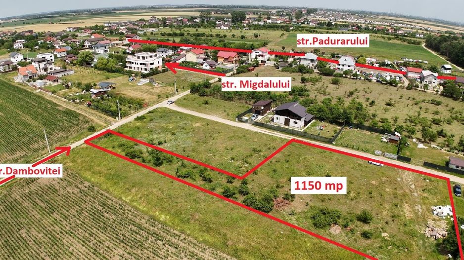 DOMNESTI-TEGHES, TEREN 1.150 MP! - Poză 5