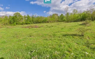 Casă cu teren de 17.681 mp, în loc. Hălmăgel, Arad - Poză 24