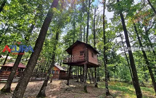 Casă de vacanță în pădure, 10 km de Pitești - Babana - Poză 16