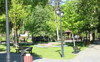 Clădire comercială de vânzare | Călimănești | restaurant - Poză 13