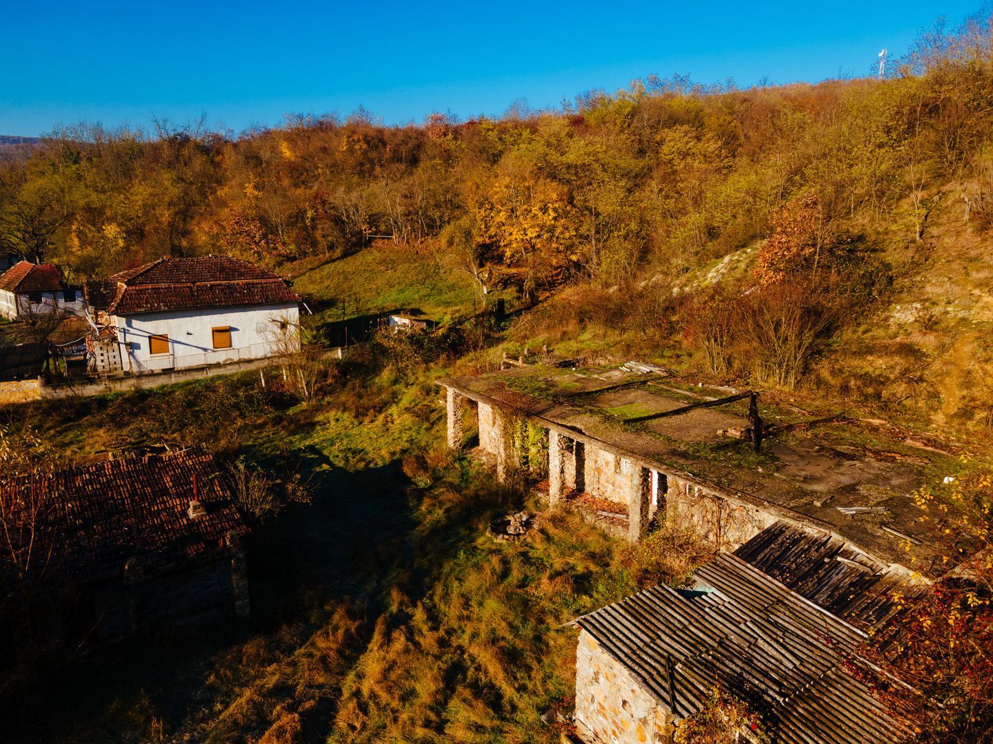 Teren intravilan Cladova - Poză 4