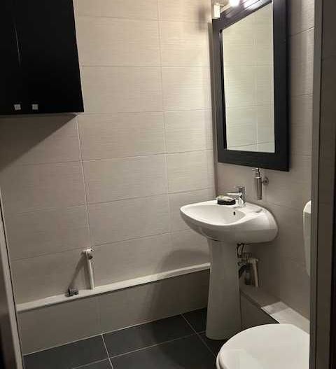 De închiriat apartament 3 camere Olteniței – Parcul Natural Văcărești - Poză 6