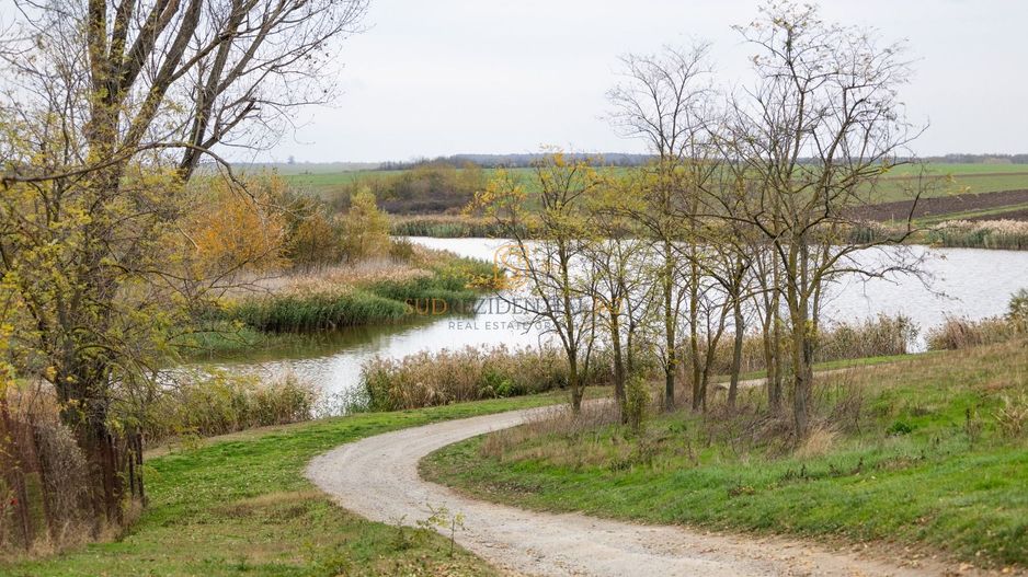 Teren 84.400 mp, ideal dezvoltare rezidentiala, PUZ aprobat, Frumusani - Poză 6