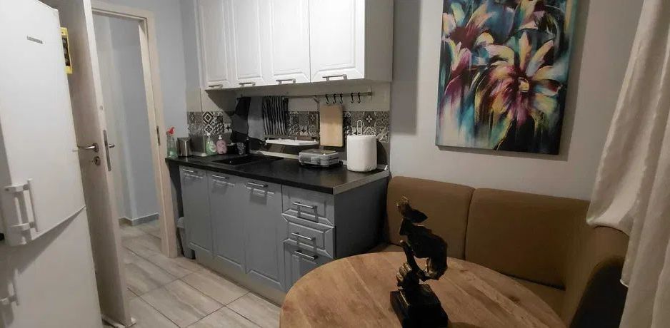 Apartament 3 camere langa Parcul Circului - Poză 4