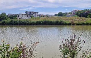Teren intravilan 4.285 mp cu deschidere 86 ml la lac Corbeanca – Laguna Albastra