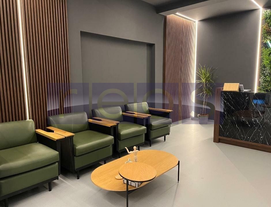 VANZARE VILA KISELEFF 365MP | CURTE 90MP | IDEAL INVESTITIE - Poză 2