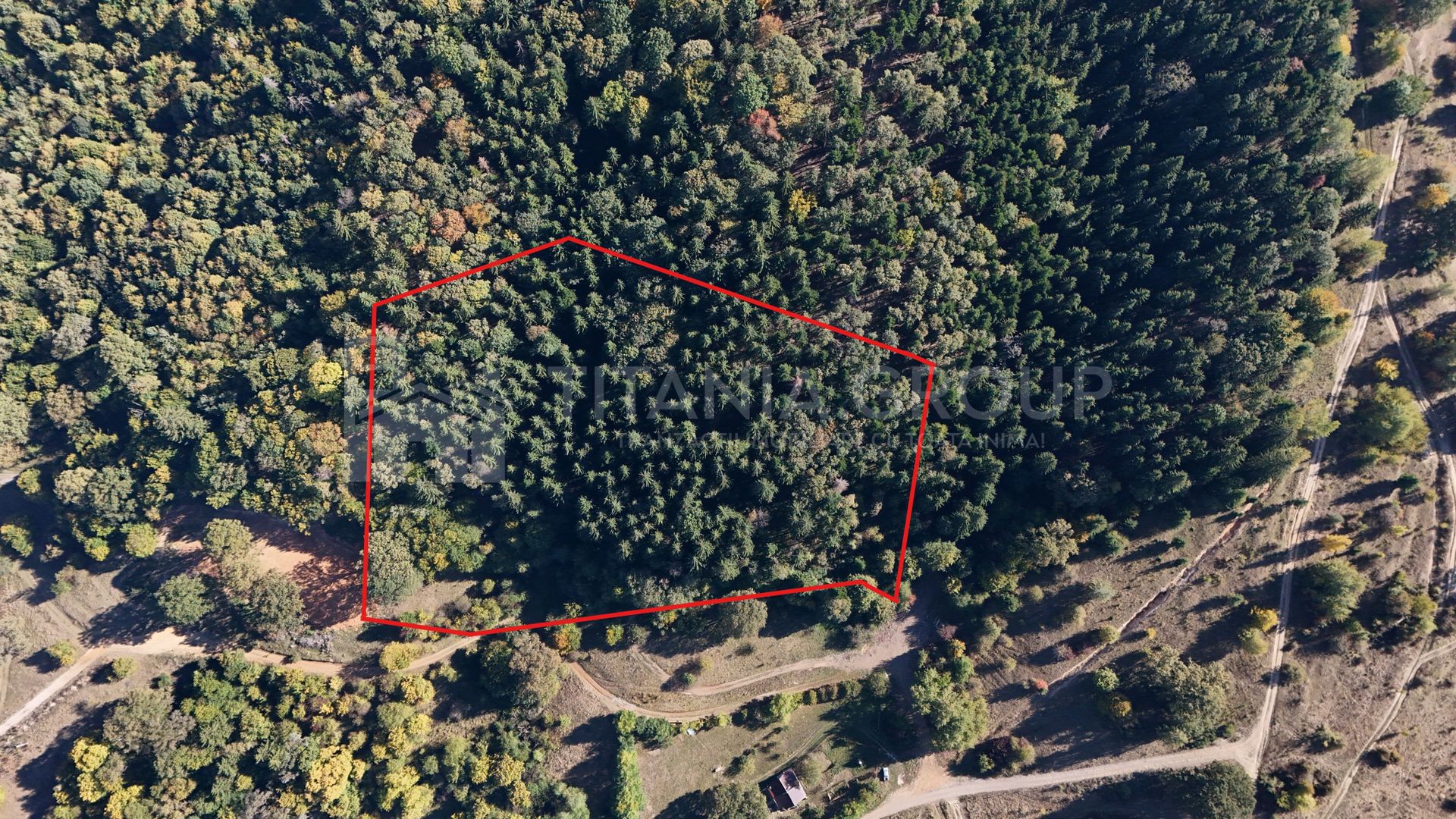 Aproape de Brașov, departe de agitație - Teren cu pădure în Cristian - Poză 3