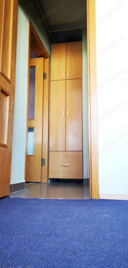 Piața berceni PROPRIETAR Spit bagdasar obregia - Poză 16