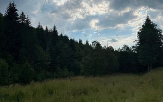PARCELE DE VÂNZARE, pe malul râului BÂSCA, COMANDAU, COVASNA - Poză 7