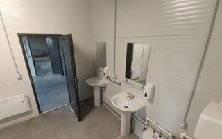 Spațiu comercial, producere+plantație de aronie, Timiș - Poză 15