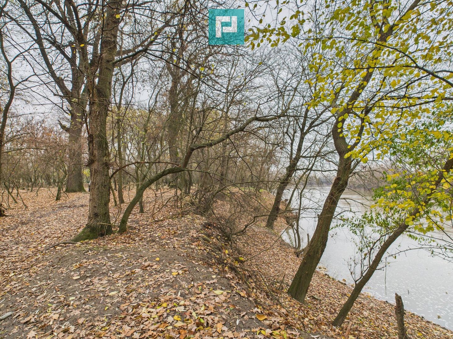 Teren pe malul Muresului- oportunitati multiple - Poză 23