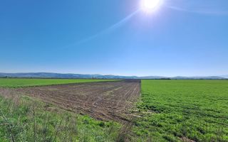 Teren de 8700 mp - extravilan - Bod, Brasov - Poză 1