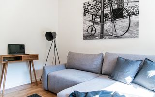 De vanzare Apartament 2 camere, Cismigiu, Conservator, Stirbei Voda - Poză 6